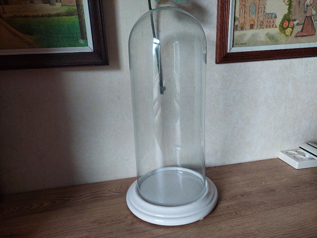 Glazen stolp op voet van porcelein / 51 centimeter, Huis en Inrichting, Woonaccessoires | Stolpen, Glas, Ophalen, Gebruikt, Met voet