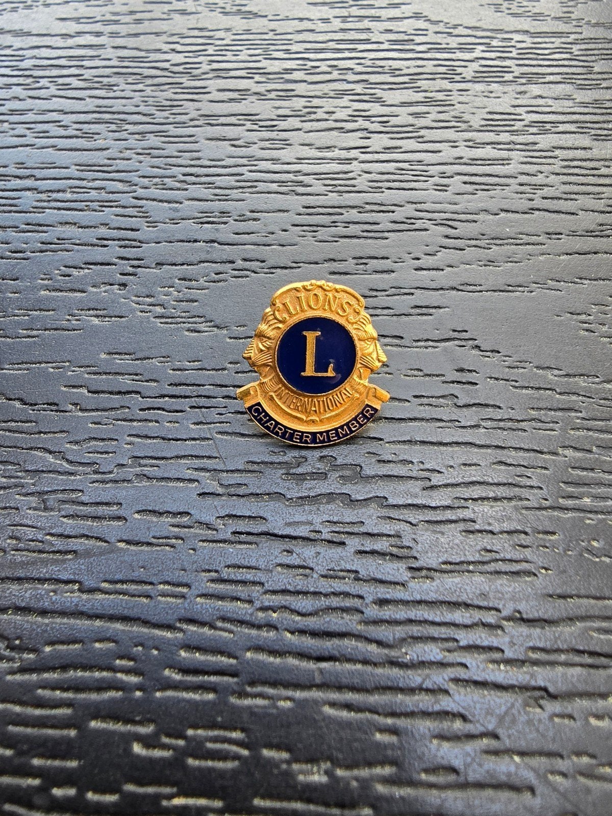 Diverse Pins en Speldjes Lions Club, Ophalen of Verzenden, Nieuw