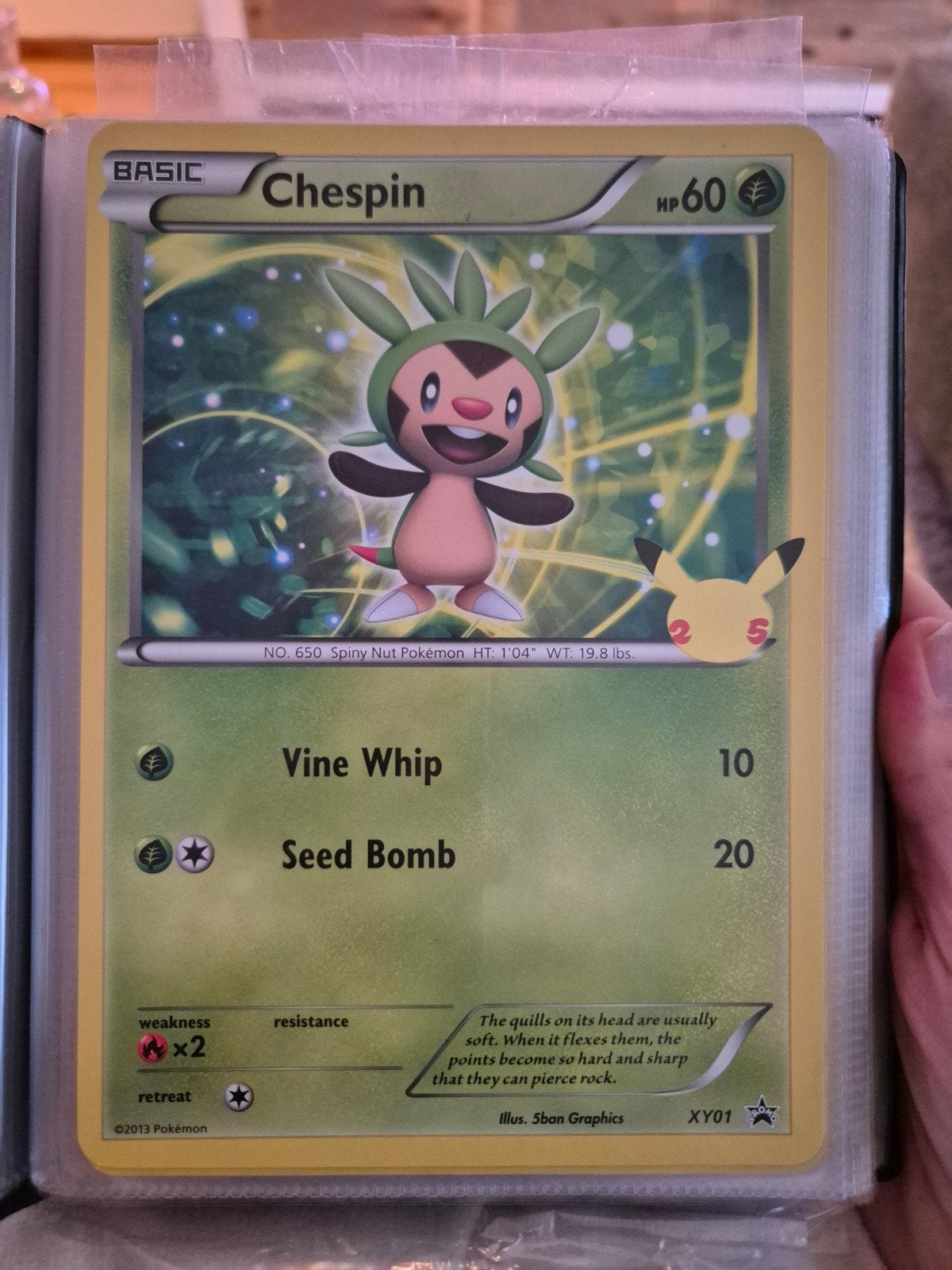 Oversized Chespin Pokémon Kaart promo xxl - XY01 Basic, Ophalen of Verzenden, Nieuw, Losse kaart