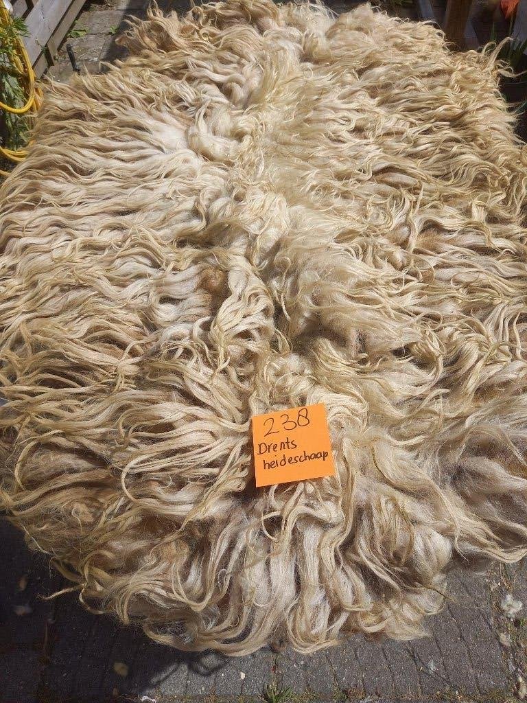 nr 238 Geschoren vacht van Drents Heideschaap, Ophalen of Verzenden, Gebruikt
