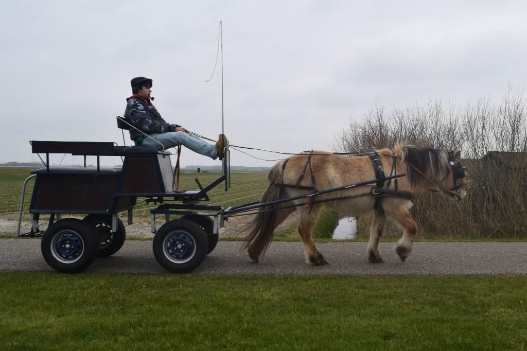 Geremde Menwagen pony, Dieren en Toebehoren, Rijtuigen en Koetsen, Gebruikt, Overige typen, Paard of Pony