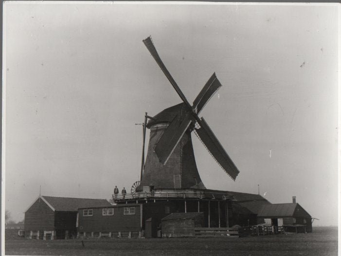 Wormer Veerdijk Molen de Veerschuit Foto af glasnegatief, Ophalen of Verzenden, Voor 1920, Noord-Holland