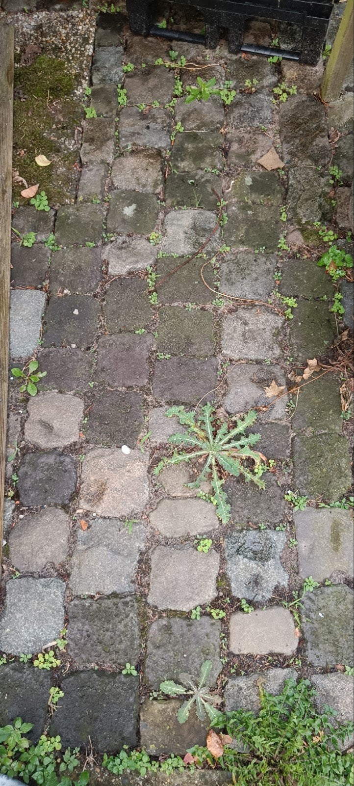 9 m² Gebruikte Kinderkoppen - Zelf Uithalen, Gebruikt, Overige typen, Natuursteen, 5 tot 10 m²