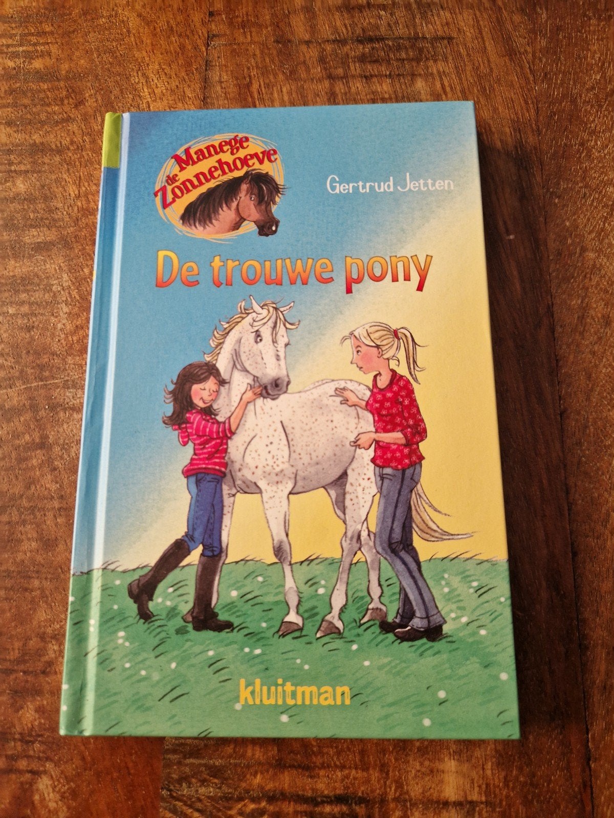Manege de Zonnehoeve:  Gertrud Jetten - De trouwe pony, Boeken, Fictie algemeen, Ophalen of Verzenden, Zo goed als nieuw, Gertrud Jetten