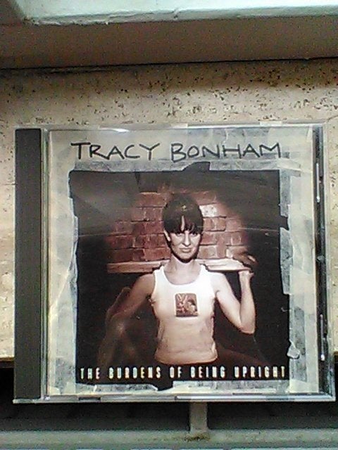 Tracy Bonham - The burdens of being upright, Ophalen, Gebruikt, Alternative
