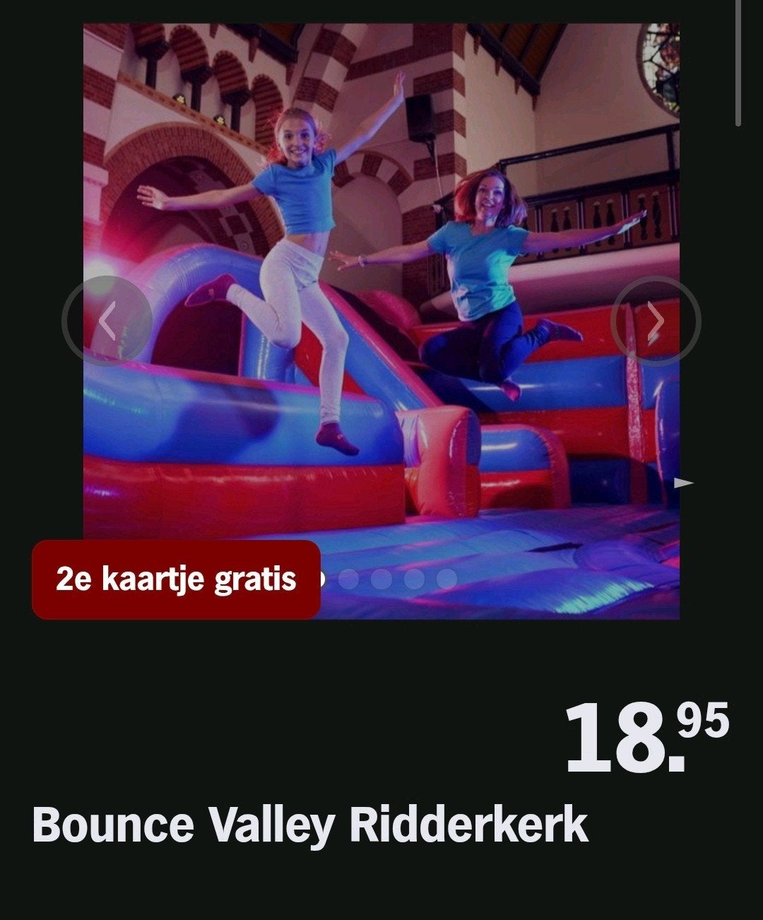 BOUNCE VALLEY RIDDERKERK ♡ 2e kaartje gratis (AH ACTIE), Overige soorten
