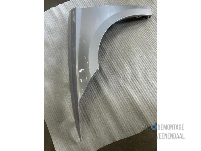 Scherm links-voor van een Seat Ibiza (LZ7G), -, -, Nieuw, Ophalen of Verzenden