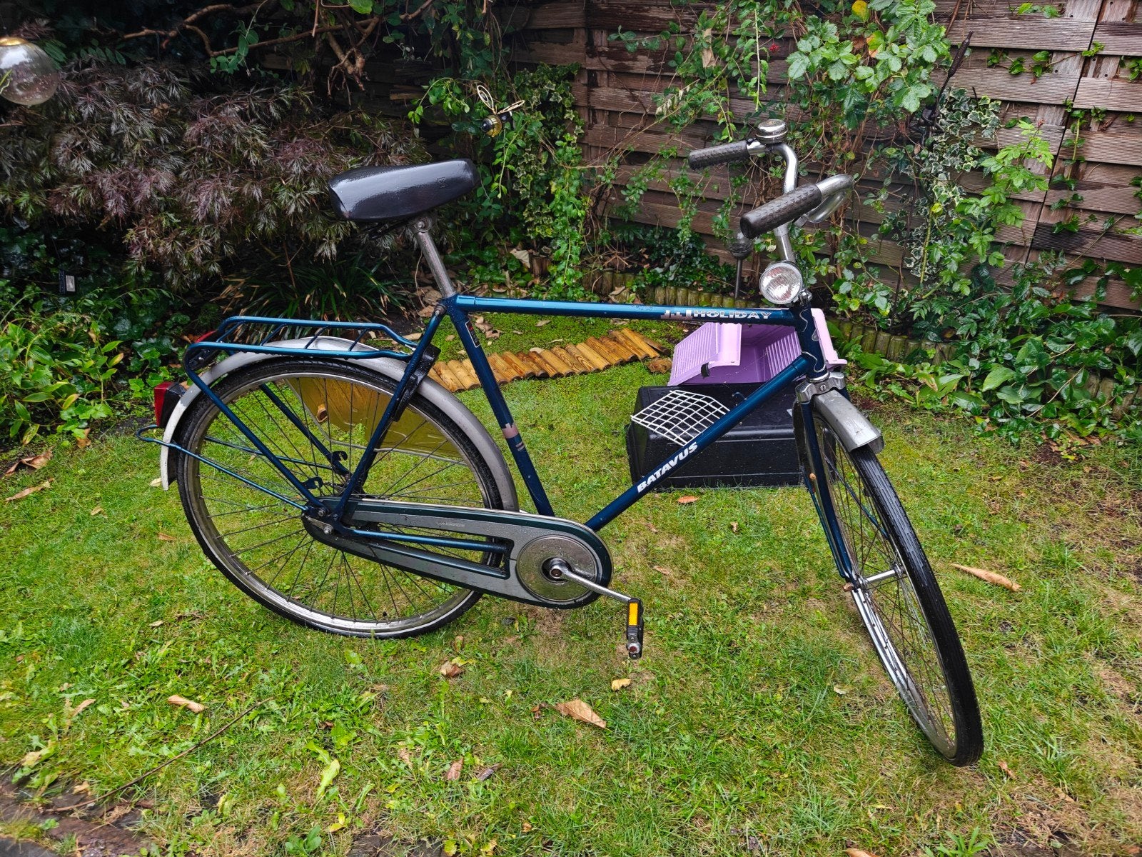 Sparta en Batavus fietsen, Ophalen, Terugtraprem, (Extra) lage instap, Batavus