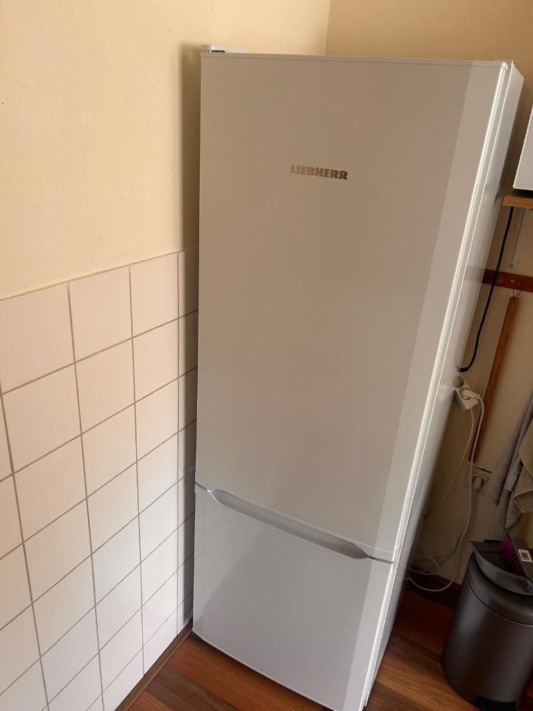 koelvriescombinatie, Ophalen, 200 liter of meer, Zo goed als nieuw, 140 tot 160 cm