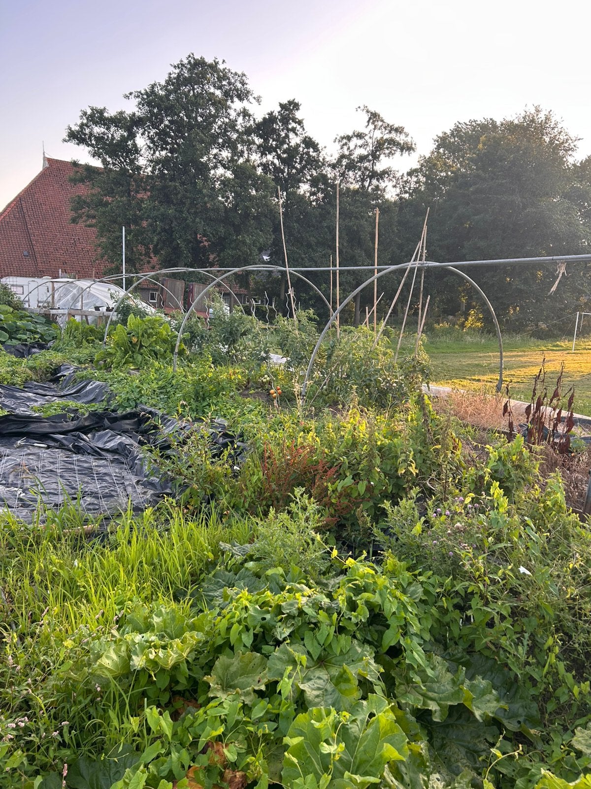Tunnelkas bogen, Tuin en Terras, Kassen, Gebruikt, Kweekkas, Staal, Folie, Ophalen