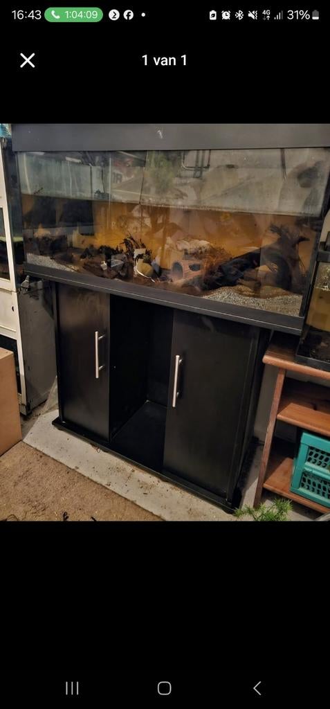 Aquarium 100cm (meubel mag los), Ophalen