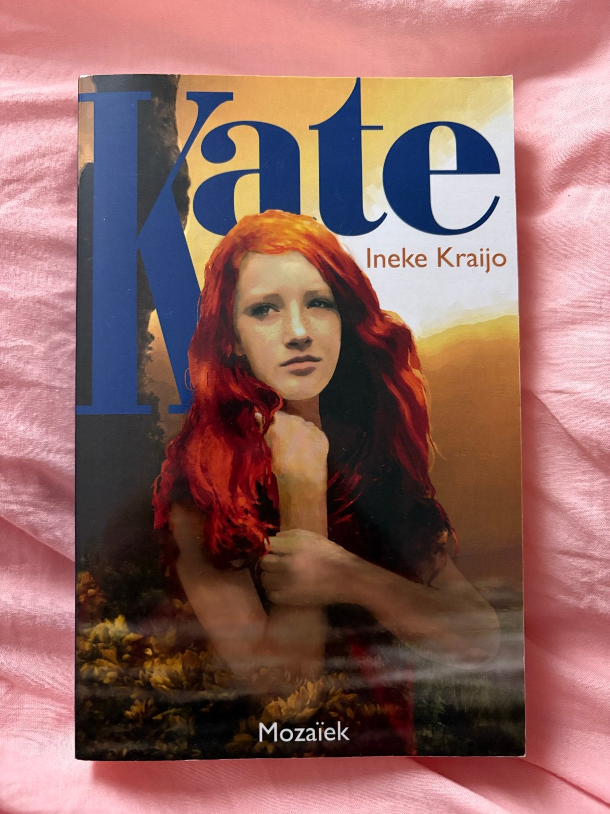 Kate - Ineke Kraijo (Jeugdroman), Boeken, Verzenden, Zo goed als nieuw, Europa overig