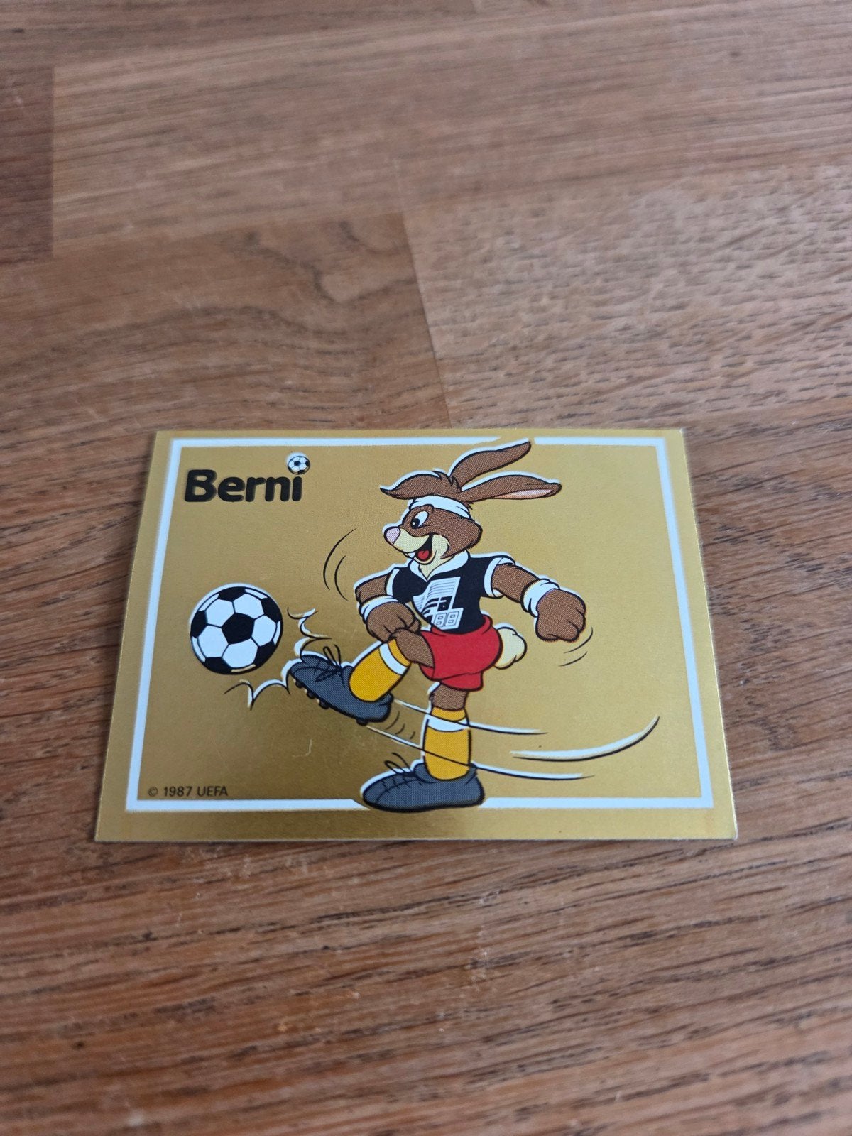 Panini EK 88, Verzamelen, Ophalen of Verzenden, Zo goed als nieuw, Buitenlandse clubs, Poster, Plaatje of Sticker