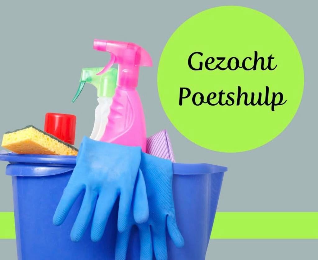 Poetshulp gezocht - Leerdam, Overige uren, Overige niveaus, Vanaf 3 jaar, Overige vormen