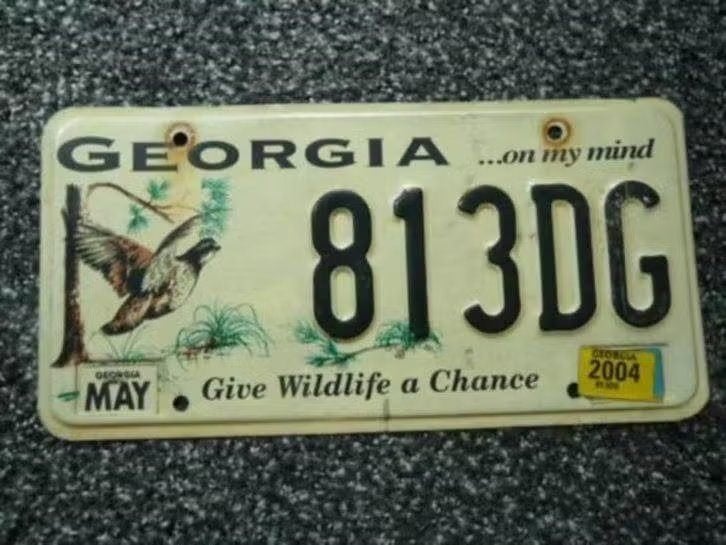 Kentekenplaat licenseplate Georgia Give Wildlife a Chance US, Verzamelen, Verzenden, Gebruikt, Auto's