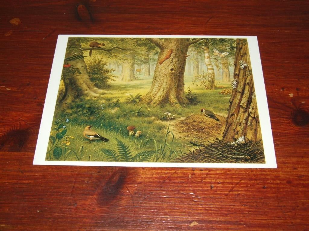 499- M.A. KOEKKOEK - VOGELS, Verzenden, 1980 tot heden, Ongelopen, Vogel
