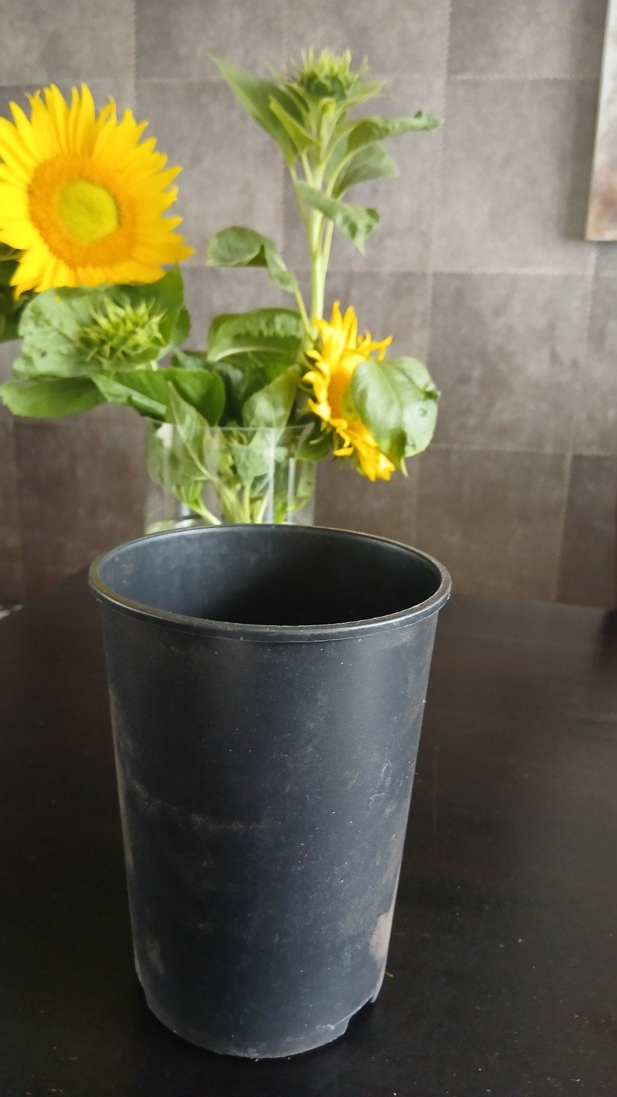 Gebruikte ronde kweekpotten van 2 liter, Kunststof, Gebruikt, Rond, Ophalen of Verzenden