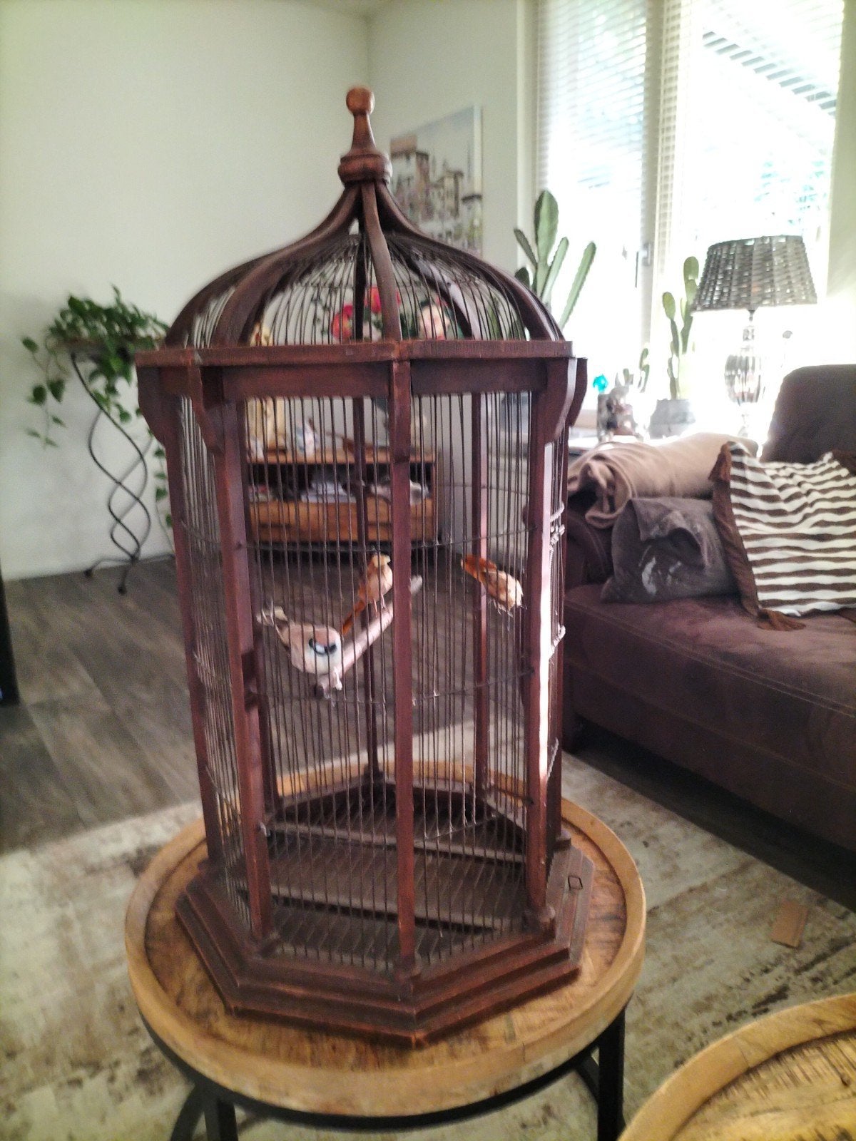 Decoratieve houten vogelkooi - Vintage stijl 80cm bij 40 cml, Ophalen