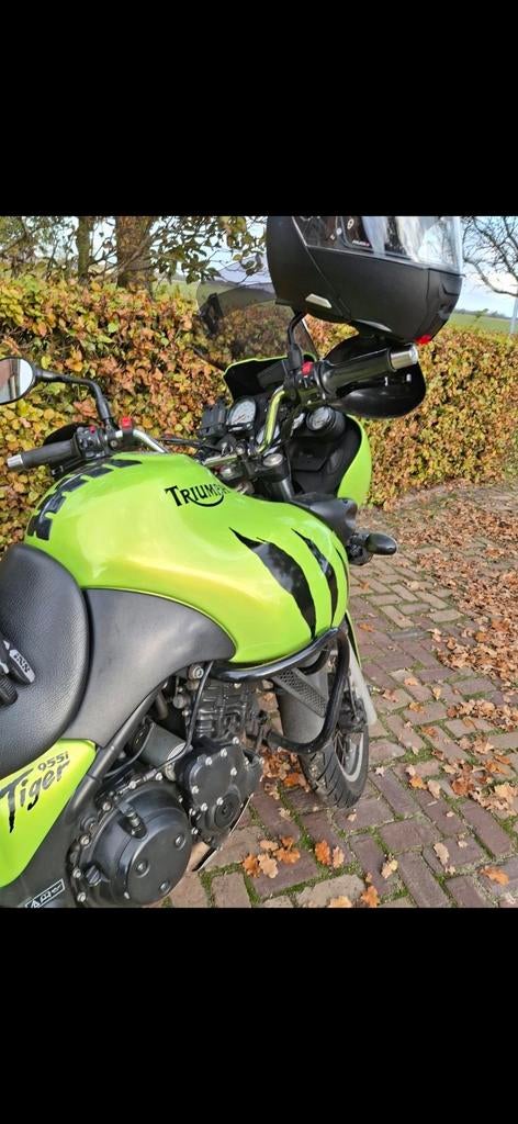Triumph Tiger 955i (2002) met accessoires, Handvatverwarming, Motorrijbewijs A, 3 cilinders, Particulier