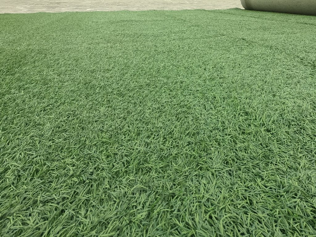 Kunstgras tweedehands, hergebruikt kunstgras, Tuin en Terras, Gras en Kunstgras, Ophalen, Gebruikt, 20 m² of meer, Kunstgras