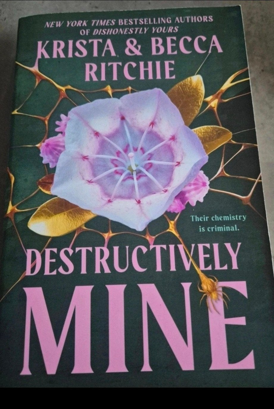 Krista Ritchie and Becka Ritchie - Destructively Mine, Ophalen of Verzenden, Nieuw