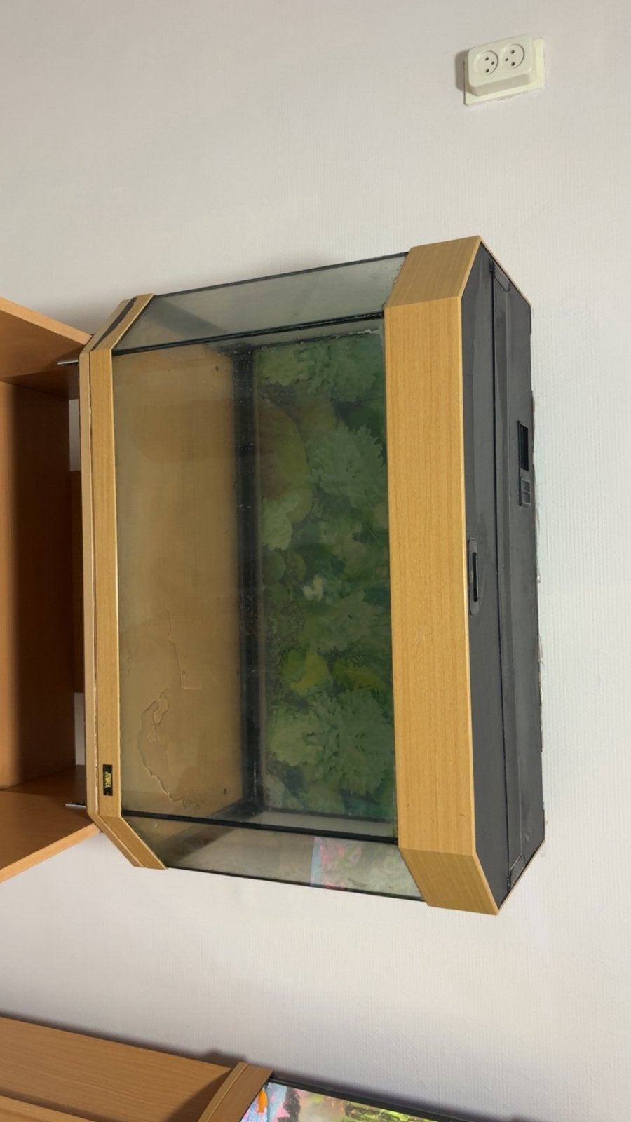 gratis ophalen juwel 125 liter, Ophalen, Gebruikt, Leeg aquarium, Juwel