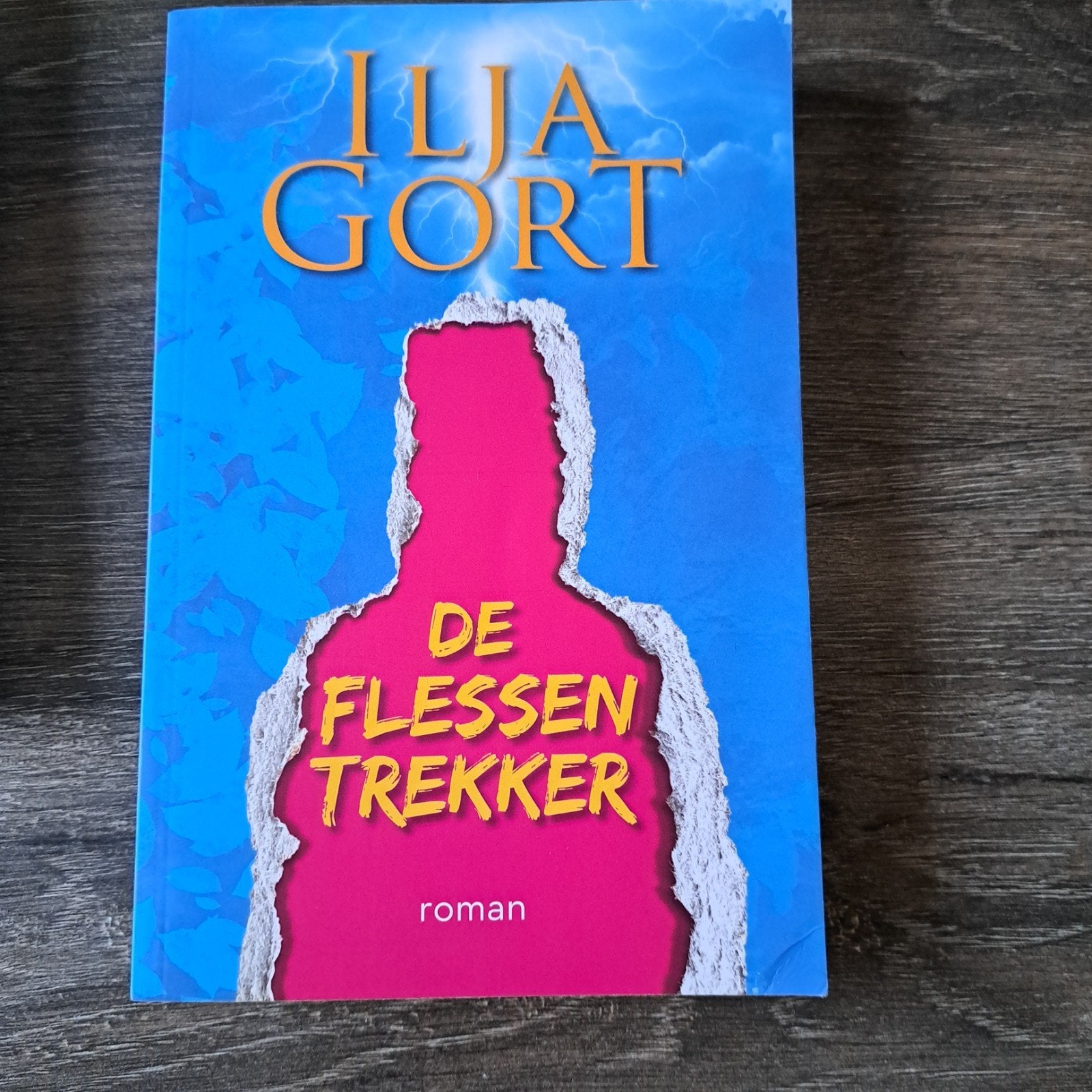 Ilja Gort - De Flessentrekker (Roman), Ophalen, Zo goed als nieuw, Ilja Gort, Nederland