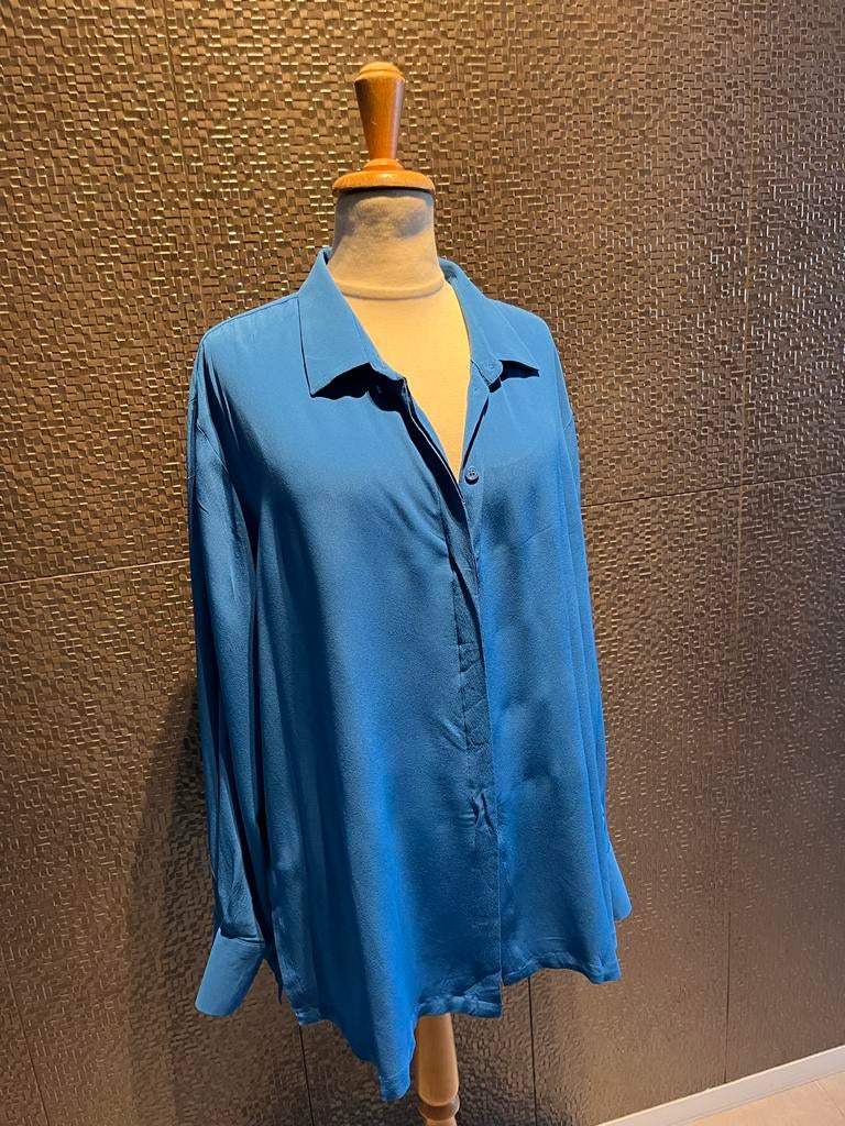 Riani Nieuwe Zijden Blouse Maat 46, Ophalen of Verzenden, Zo goed als nieuw, Maat 46/48 (XL) of groter, Blauw