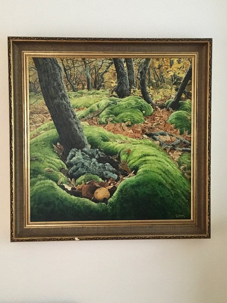 schilderij herfstig bosgezicht met frisgroene mosbulten, Ophalen