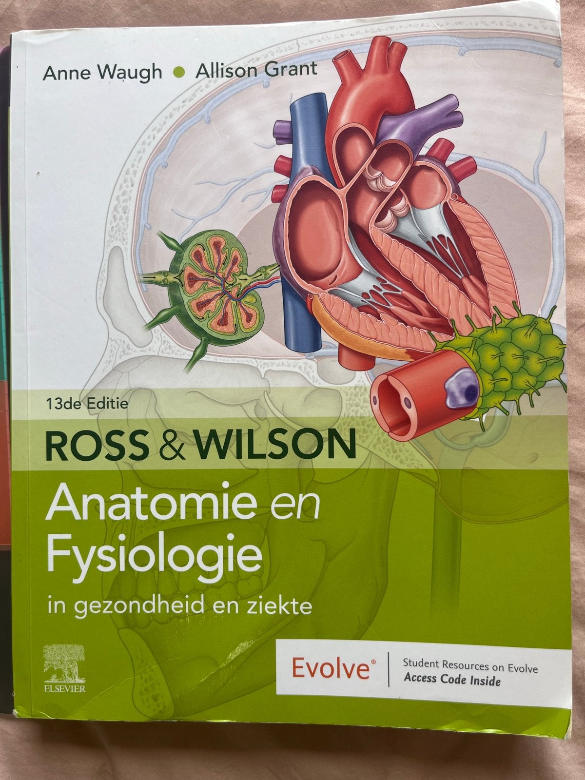 Ross & Wilson Anatomie en Fysiologie 13e editie, Boeken, Ophalen of Verzenden, Beta, Zo goed als nieuw, HBO
