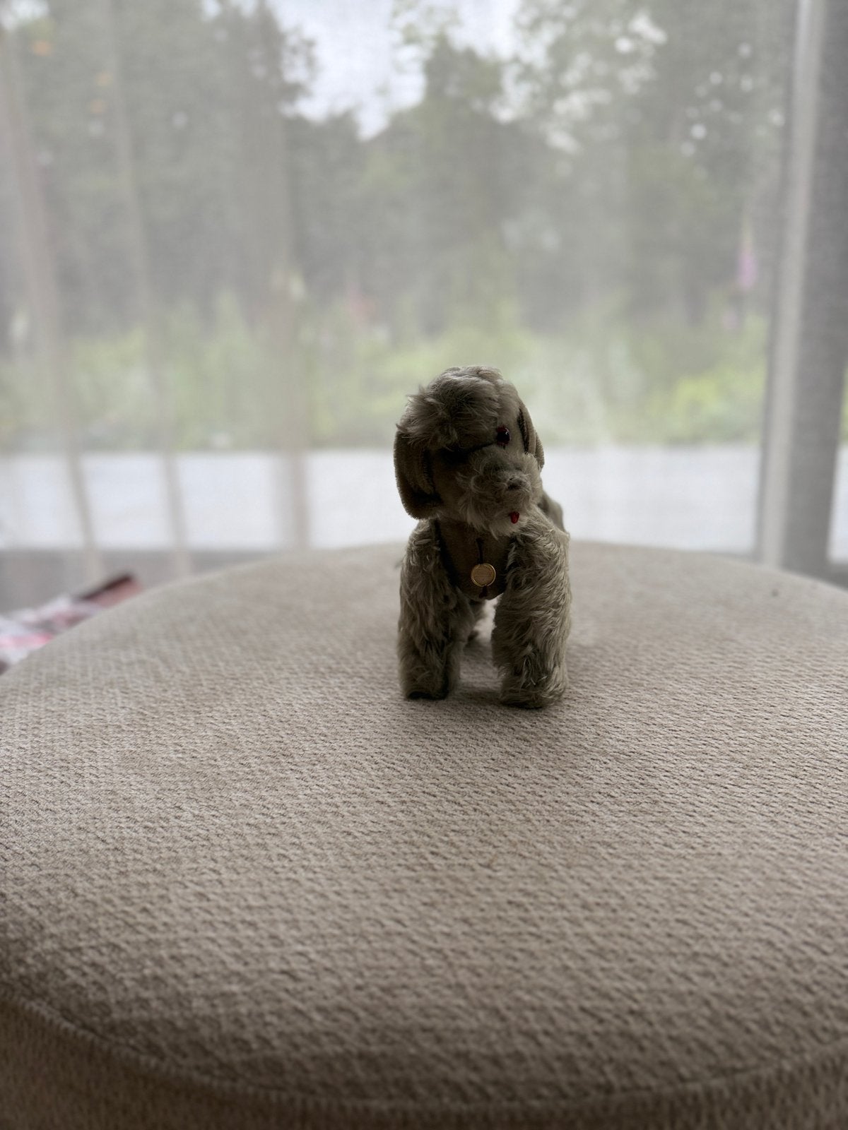 ##Mooie oude Hermann hond##leuk voor decoratie, Ophalen of Verzenden