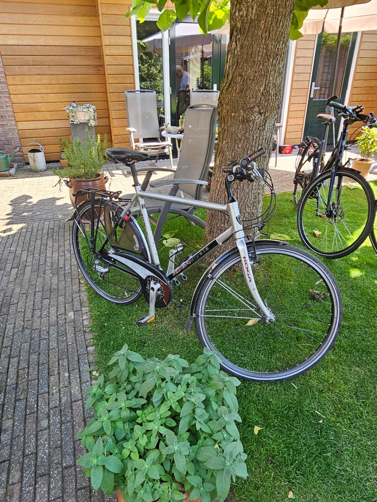 Kogamiyata lighspeed, Gebruikt, Velgrem, 57 tot 61 cm, Ophalen