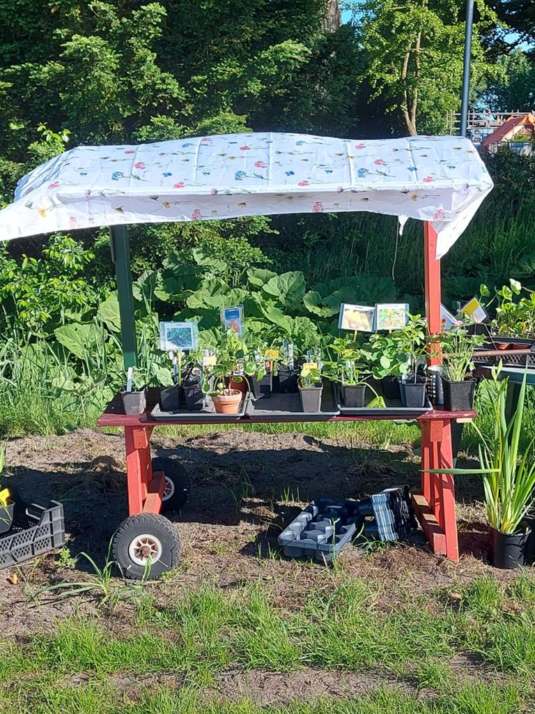 Courgette komkommer tomaat, Ophalen, Nieuw, Carport