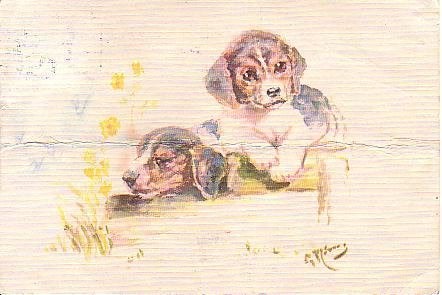 Ansichtkaart 	Hond, Verzenden, 1960 tot 1980, Gelopen, Hond of Kat