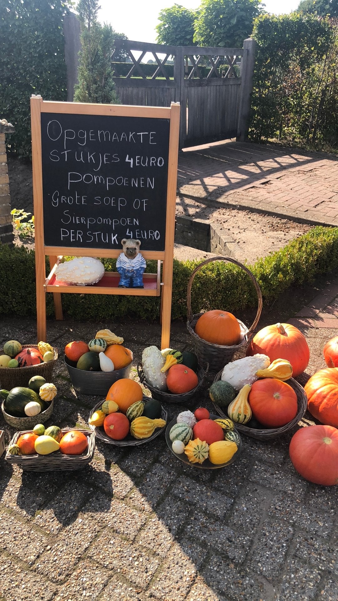 Pompoenen te Koop, Ophalen, Nieuw