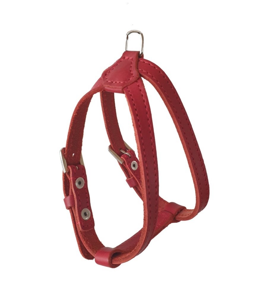 ALOKÉ Harnas / Hondentuig Leer XXS Borst 28,5-31cm Red -30%!, Dieren en Toebehoren, Ophalen of Verzenden, Nieuw, Hondentuig