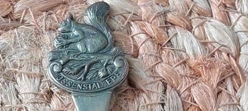 Oud VERZILVERD LEPELTJE EEKHOORN - OSSENSTAL - EPE, Antiek en Kunst, Curiosa en Brocante, Ophalen of Verzenden