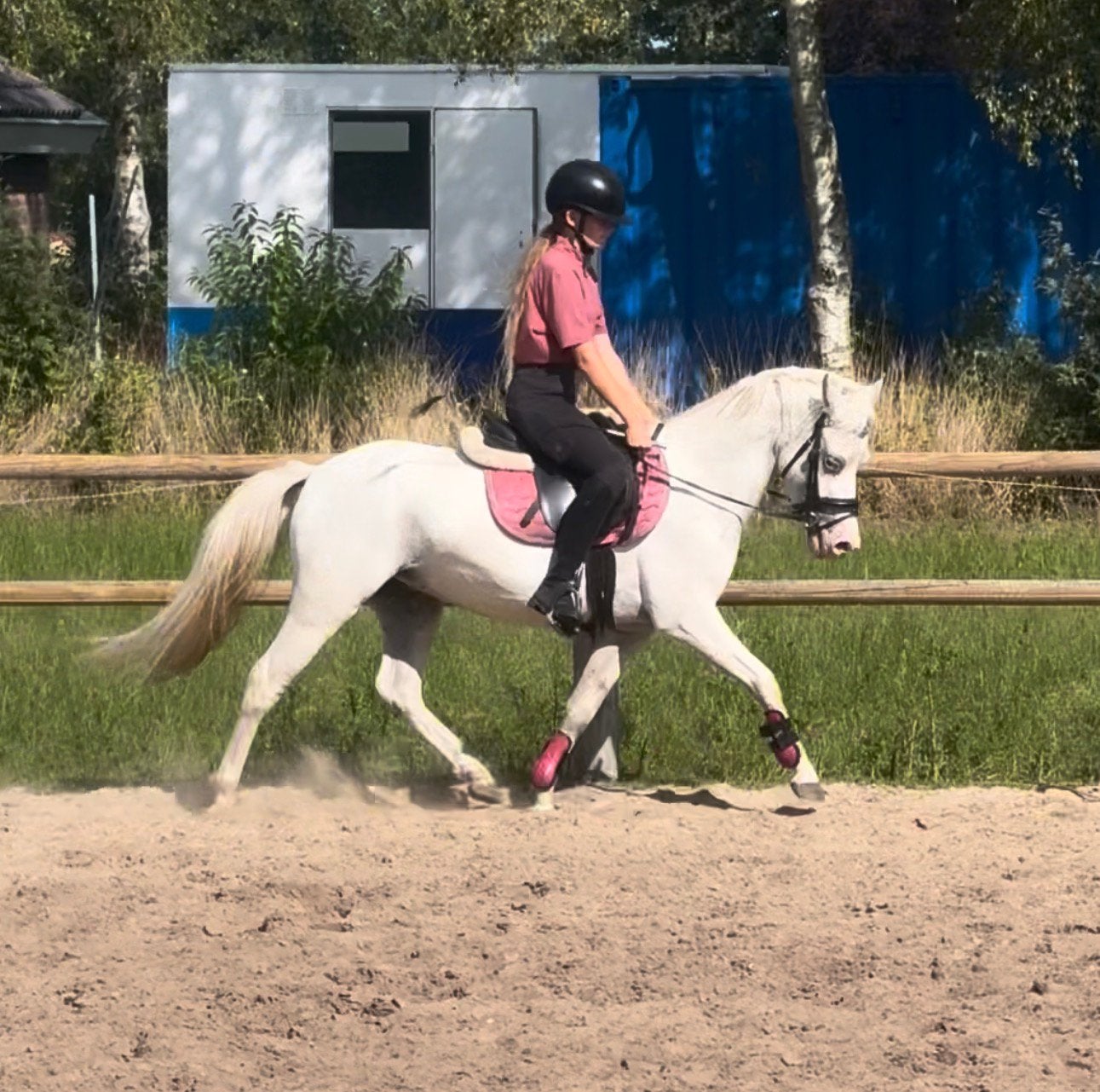 *** Super B kinderpony *** NIEUW, Dieren en Toebehoren, Pony's, Ruin, B pony (1.17m tot 1.27m), 3 tot 6 jaar