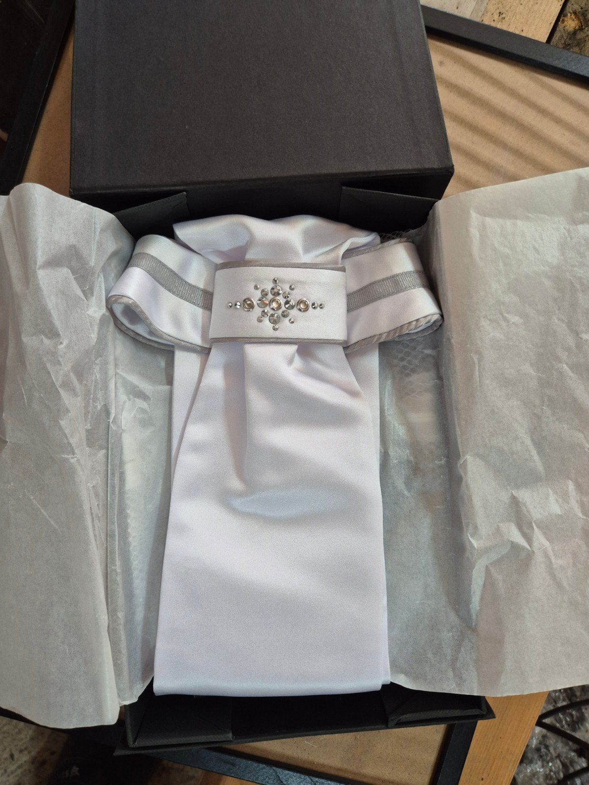 PLASTRON ANKY, Dressuur, Nieuw, Ophalen of Verzenden, Bovenkleding