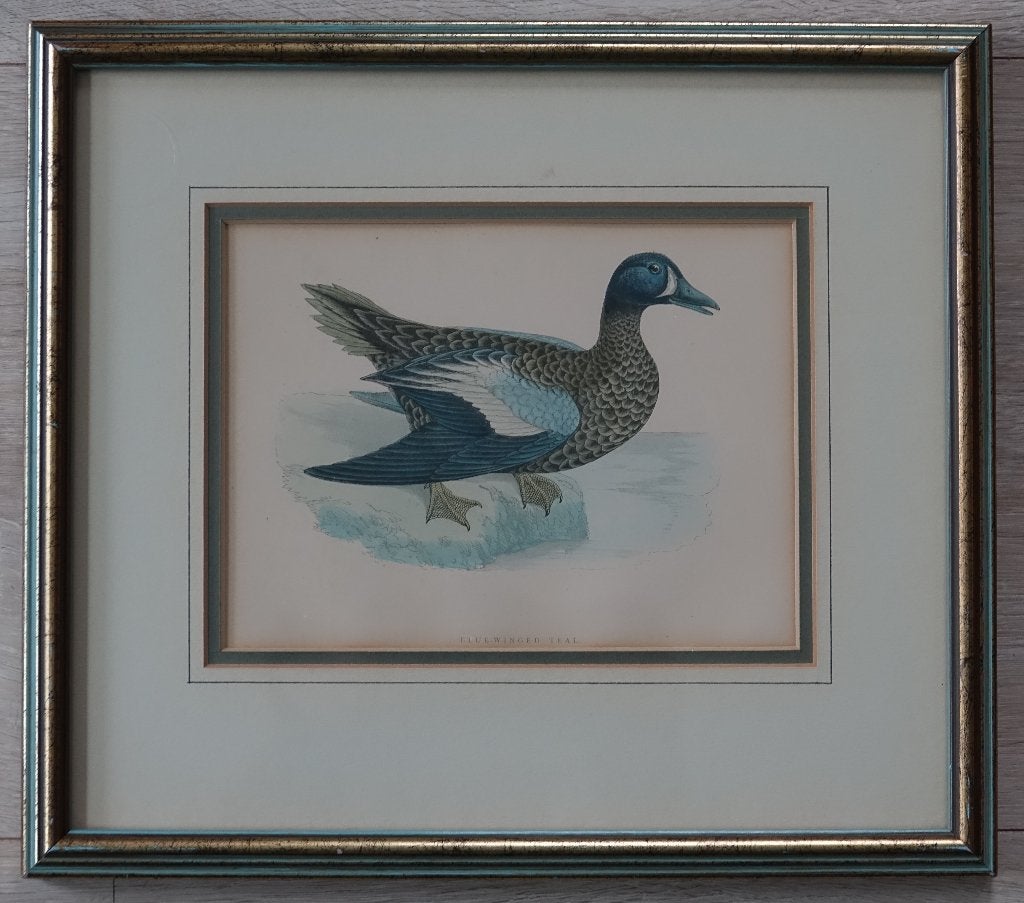 Ets, Antiek en Kunst, Ingelijst, Ophalen of Verzenden, Dieren en Natuur, Ets