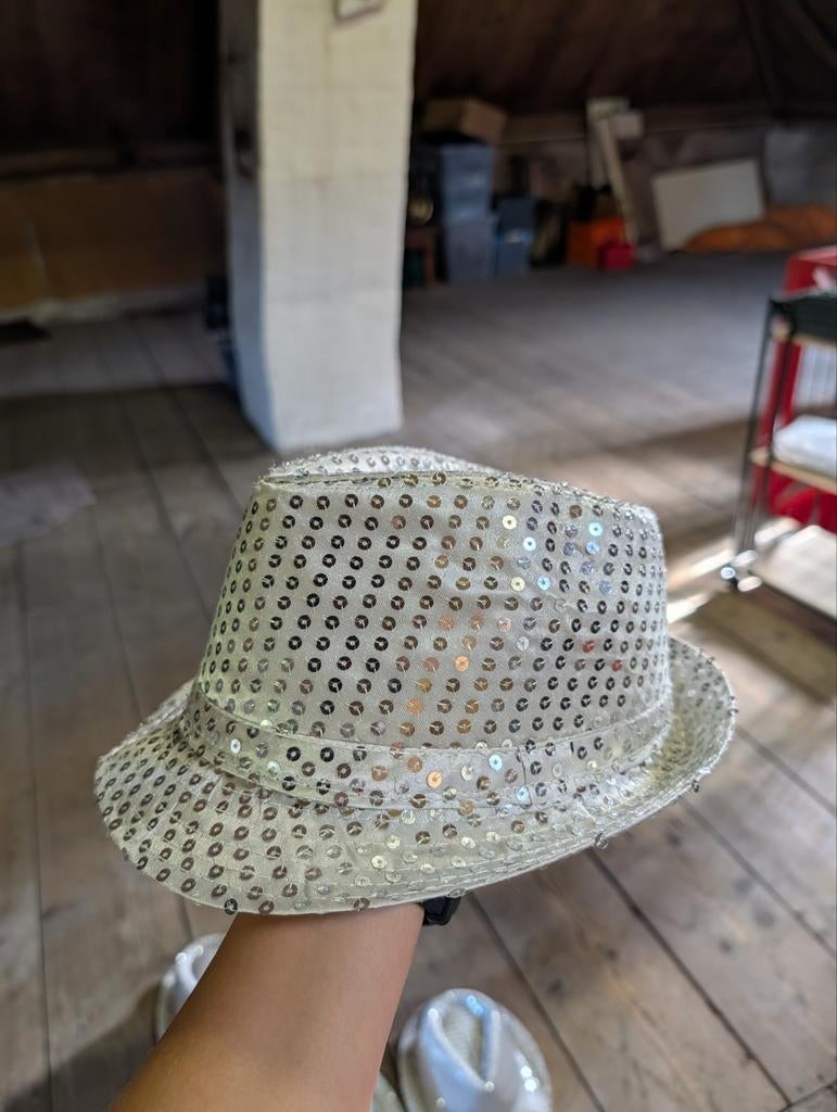 5 zilveren hoedjes met pailletten, Kleding | Dames, Hoeden en Petten, Ophalen of Verzenden
