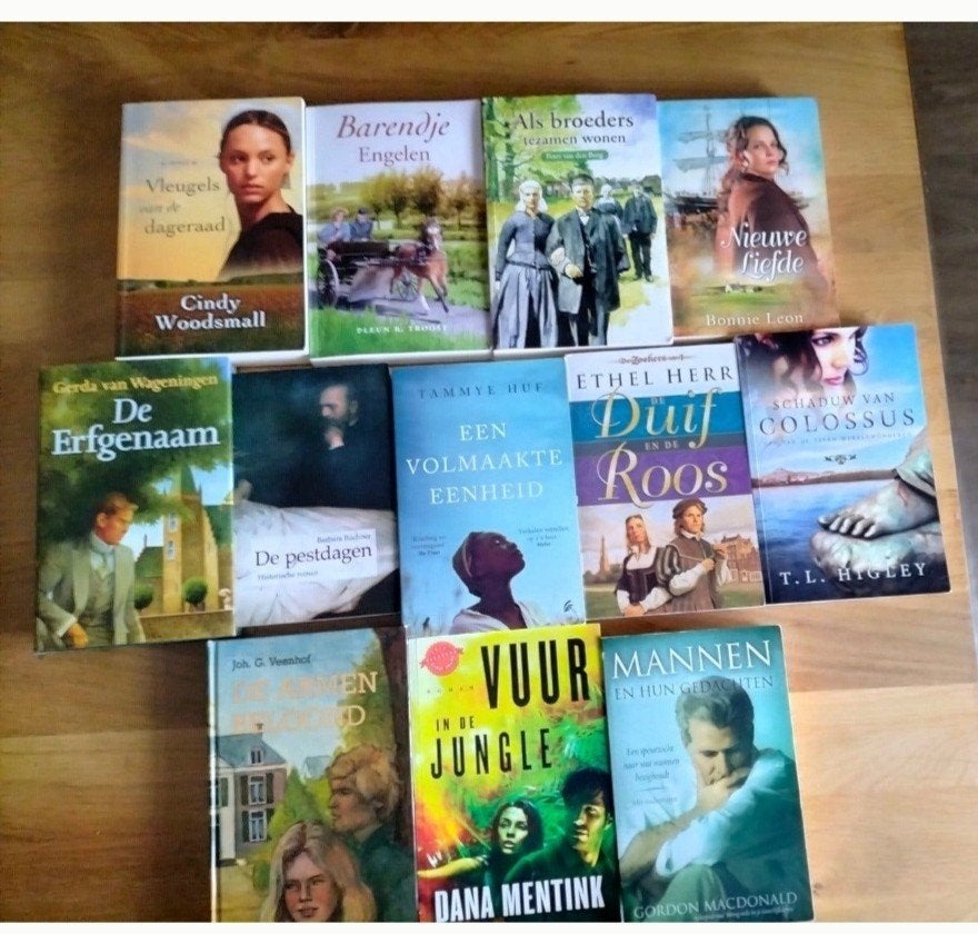 Boekenpakket 12 stuks Christelijke boeken, Ophalen of Verzenden, Gelezen, Nederland