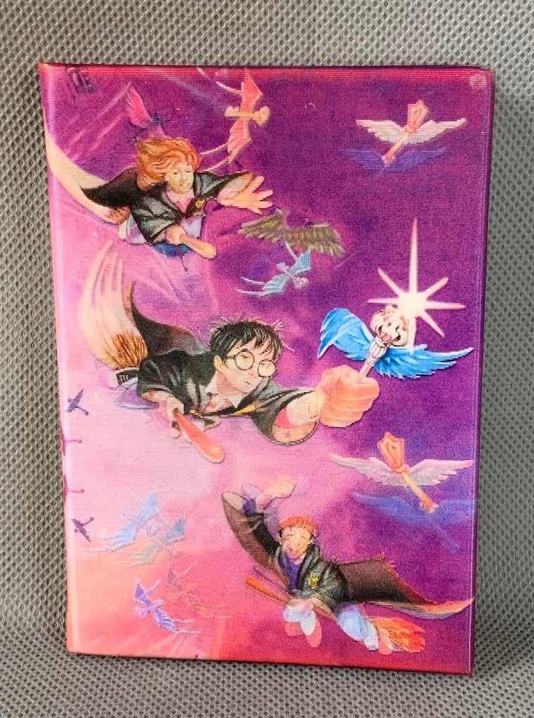 Klein Harry Potter notitieboekje, Ophalen of Verzenden, Zo goed als nieuw, Gebruiksvoorwerp