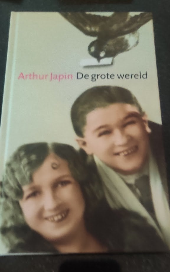 De grote wereld, Boeken, Romans, Ophalen of Verzenden, Zo goed als nieuw