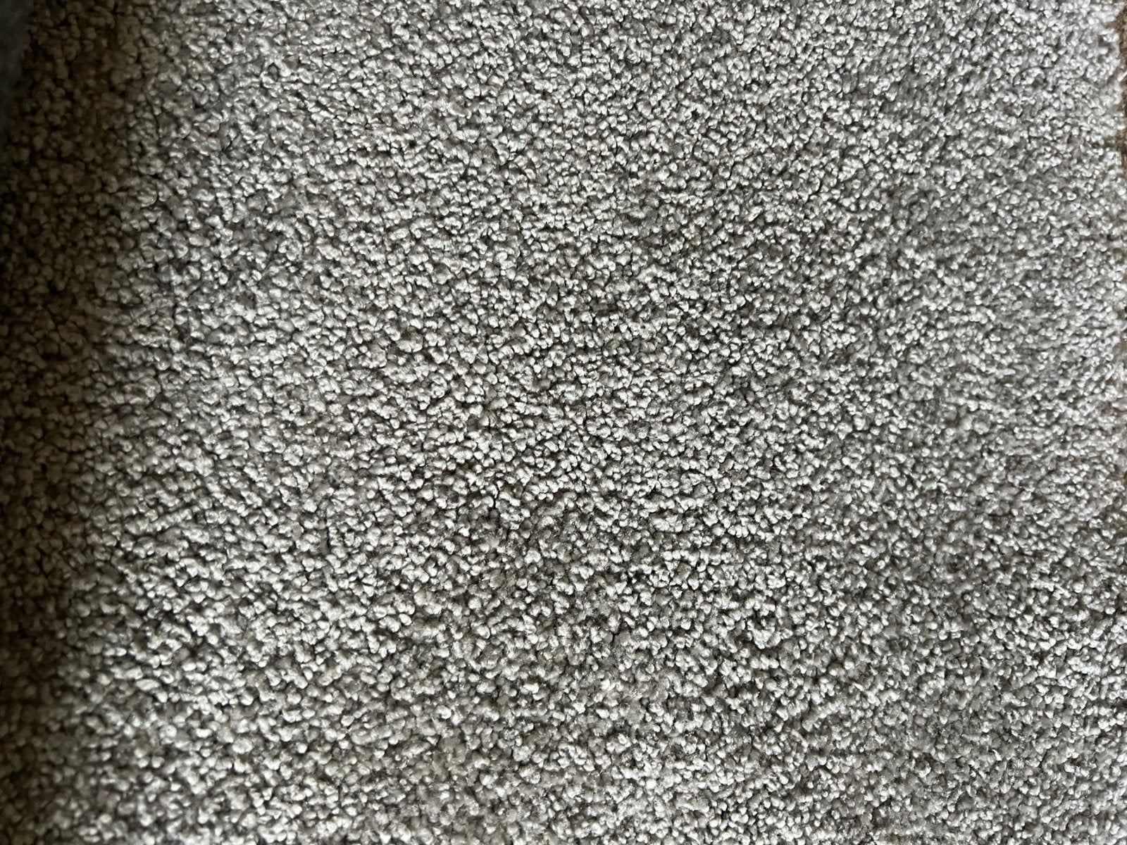 Vloerkleed.   Nieuw, Ophalen, 100 tot 150 cm, Laag polig, Nieuw