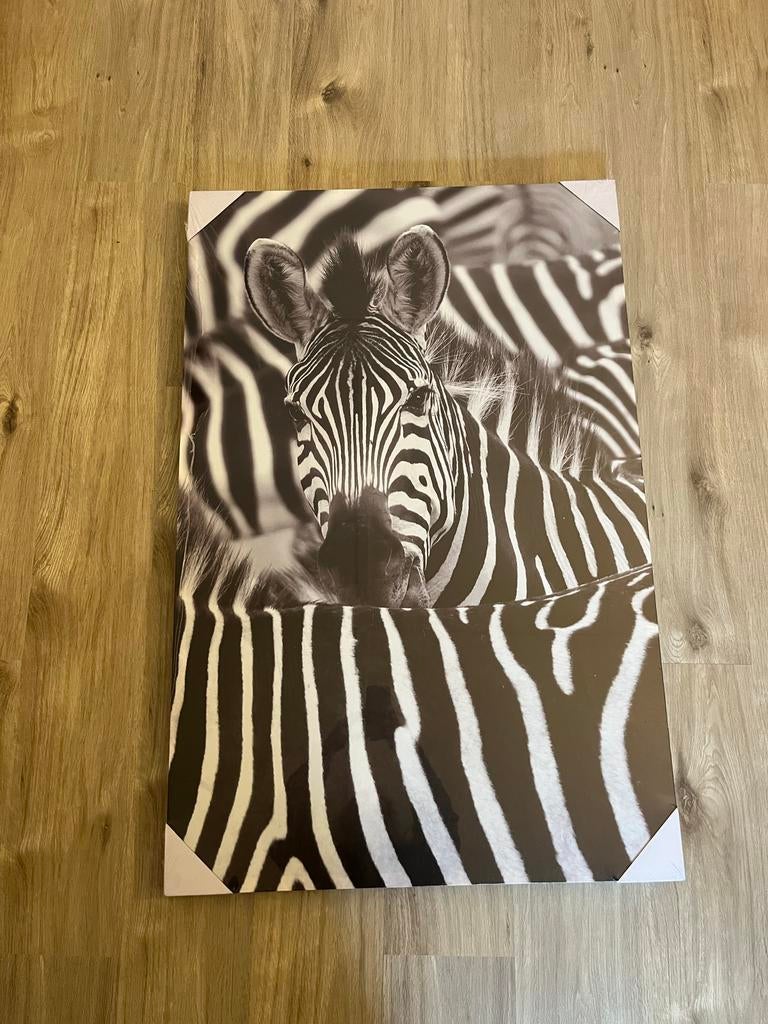 Schilderij zebra, Ophalen, Nieuw, Schilderij, 75 tot 100 cm