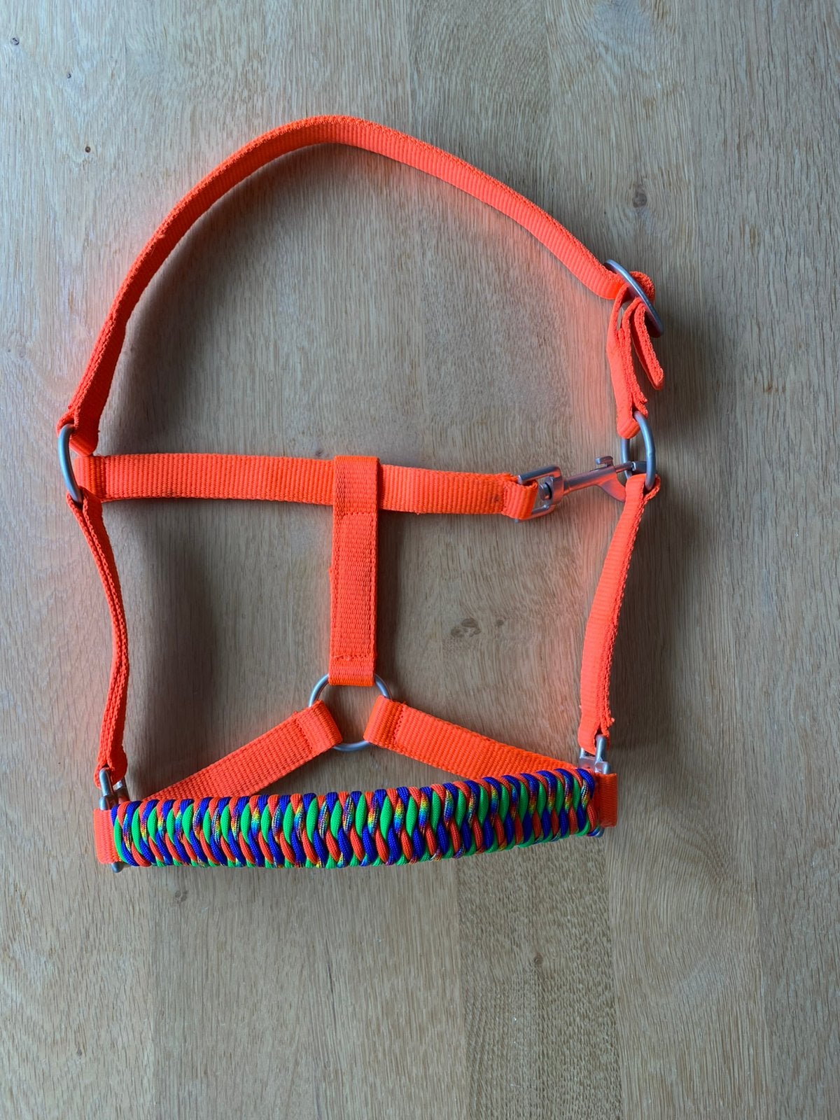 Nieuw: halster maat pony oranje multicolour, Dieren en Toebehoren, Paarden en Pony's | Hoofdstellen en Tuigage, Zo goed als nieuw