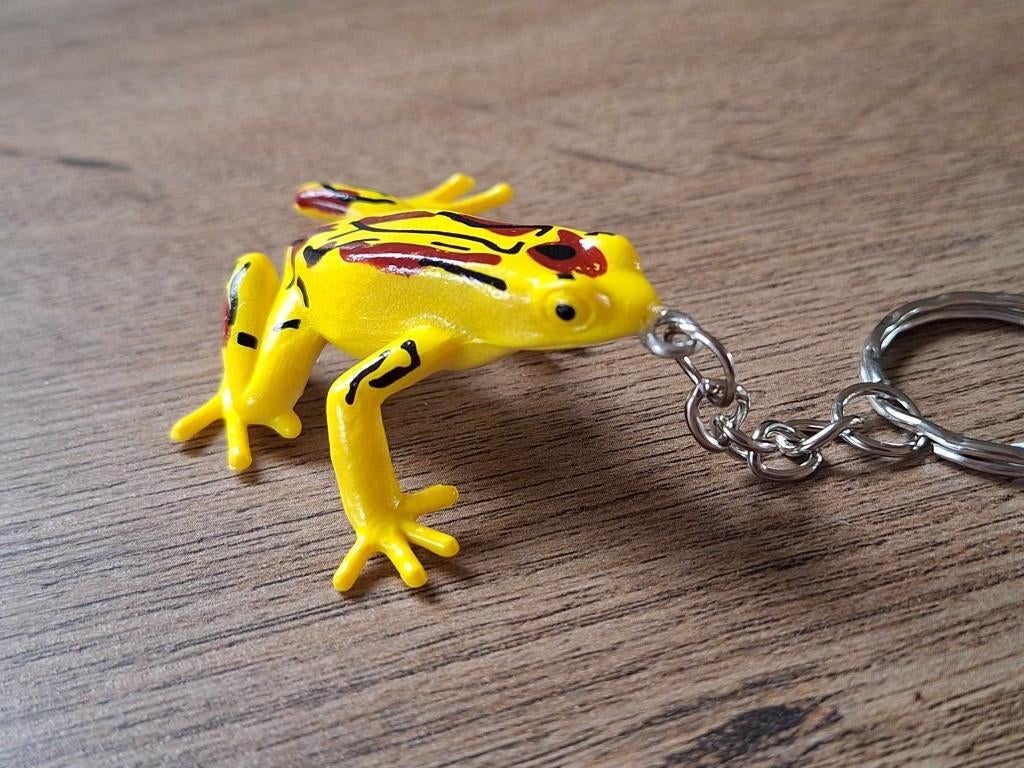 Sleutelhanger : Kikker !! 4, Info@keycharms.nl, Dier of Natuur, Nieuw, Medemblik
