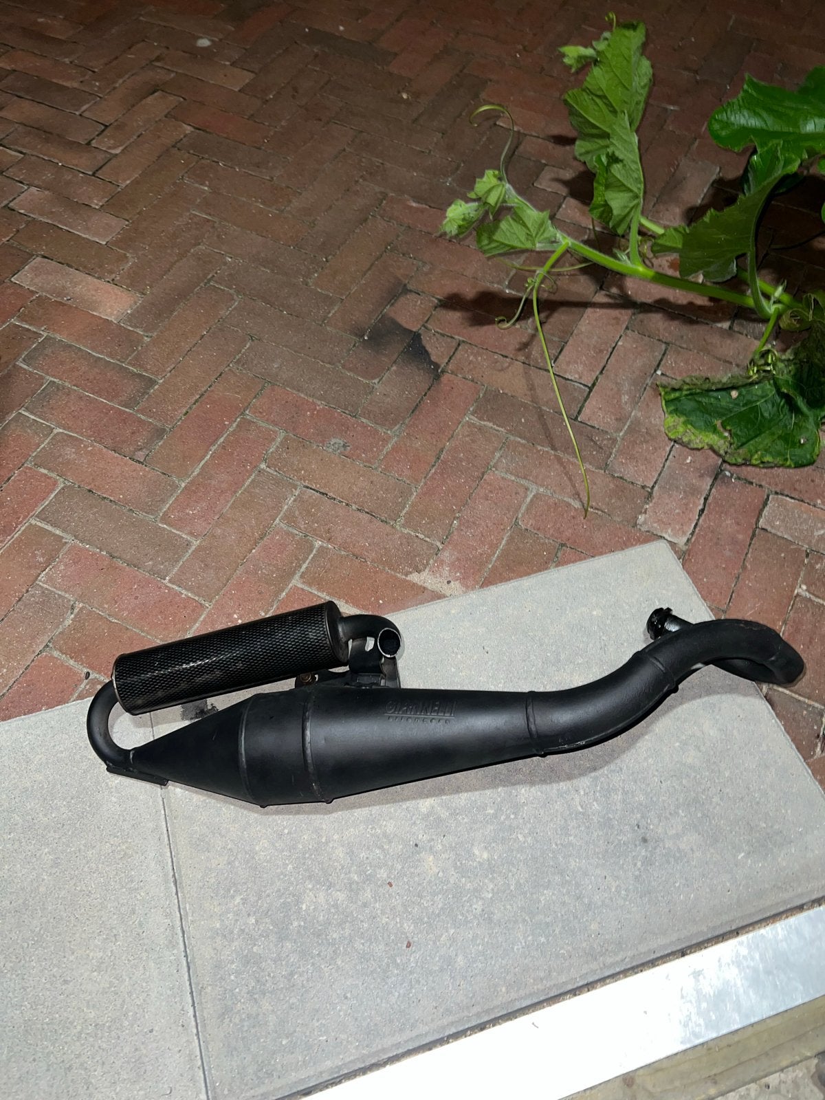 Giannelli reverse carbon, Ophalen of Verzenden, Zo goed als nieuw, Uitlaat