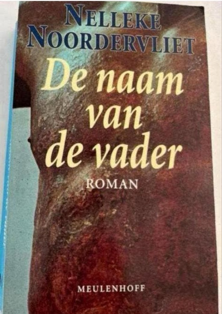 Nelleke Noordervliet - De naam van de vader (Roman), Boeken, Ophalen of Verzenden, Zo goed als nieuw
